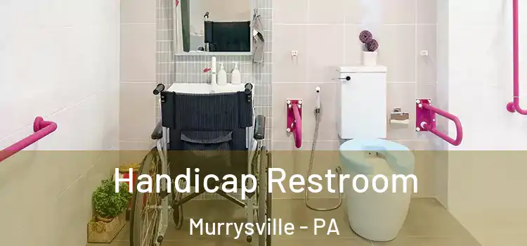  Handicap Restroom Murrysville - PA